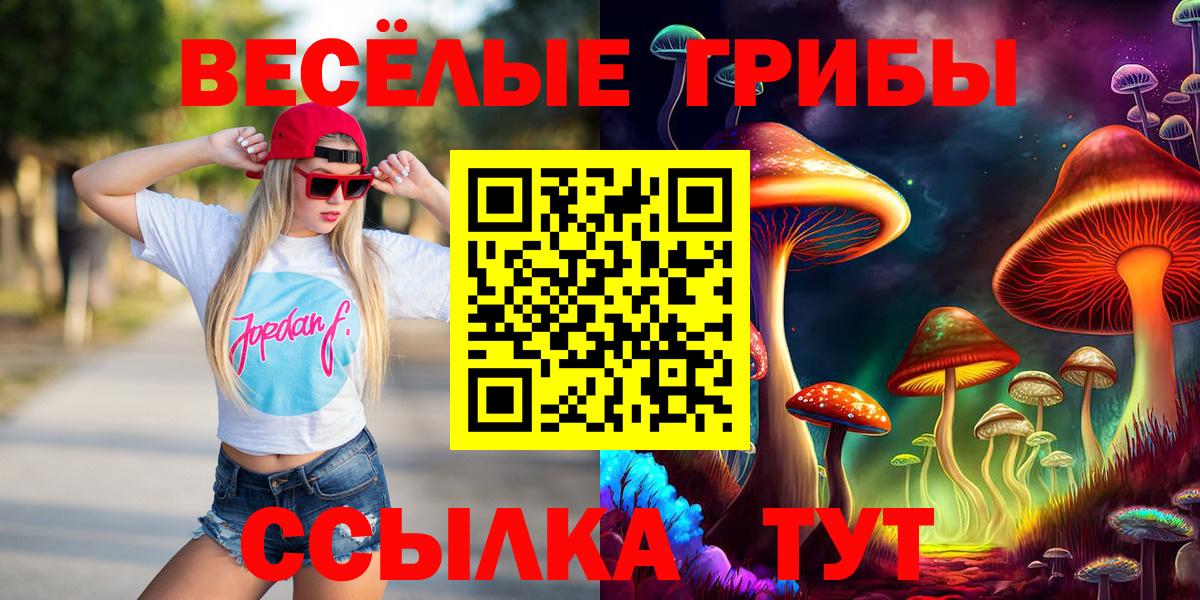 Каспийск  Псилоцибиновые грибы Magic Shrooms  Псилоцибиновые грибы прущие грибы  Вход с VPN 